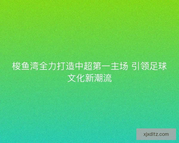 梭鱼湾全力打造中超第一主场 引领足球文化新潮流