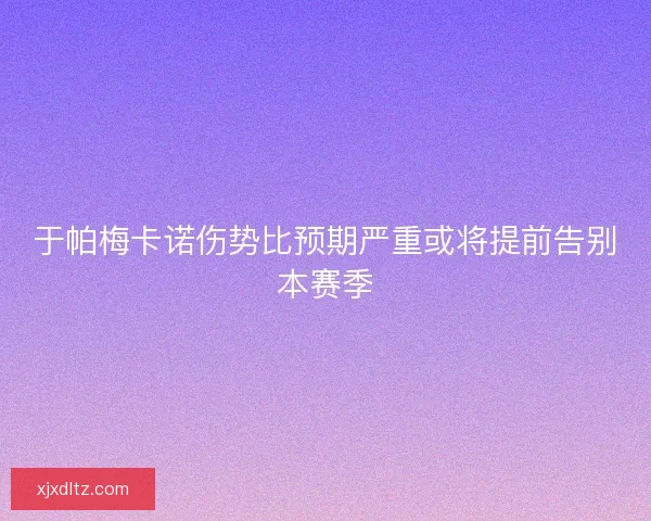 于帕梅卡诺伤势比预期严重或将提前告别本赛季